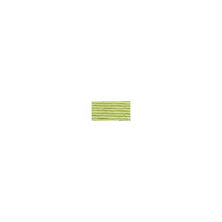 DMC mouliné N° 3348 (DMC3348)