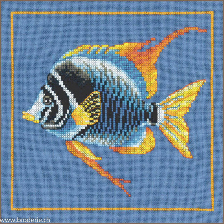 Lanarte, kit Poisson Ztébre de feu (LA0215375)