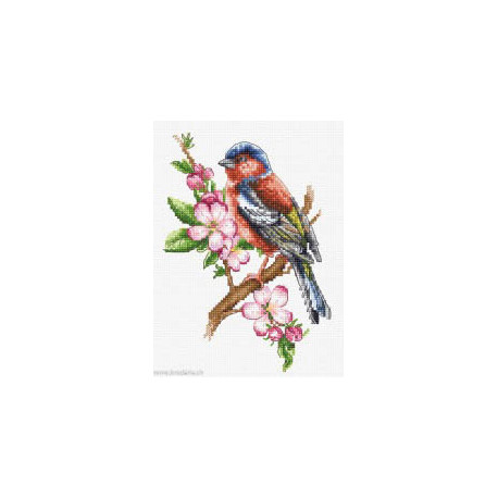 Luca-S, kit Chaffinch Bird (LUCASB1196)