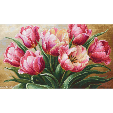 Luca-S, kit Graceful Tulips (LUCASB718)