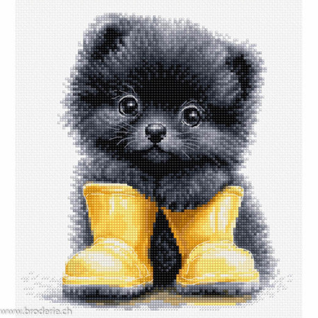 Luca-S, kit The Little Adventurer (LUCASB1420)