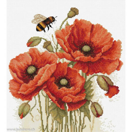 Luca-S, kit The Splendor of Summer Poppies (LUCASB7042)