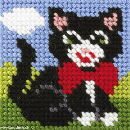 Orchidea, kit enfant chaton (OR9632)