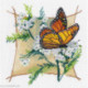 Oven, kit Composition. Butterfly-2 (OV1646)