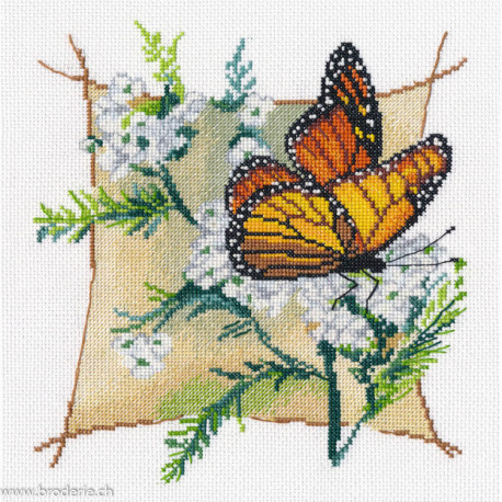Oven, kit Composition. Butterfly-2 (OV1646)